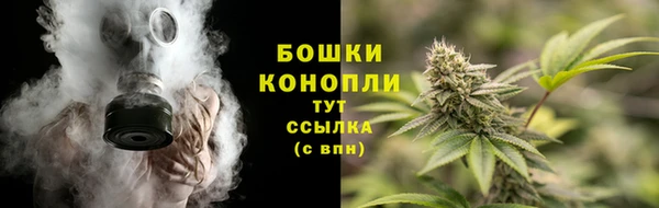 PSILOCYBIN Арсеньев