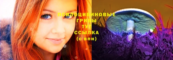 PSILOCYBIN Арсеньев